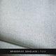 F110 Broderick Seaglass